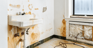 Humidité : ces détails pendant une visite peuvent vous éviter de gros travaux