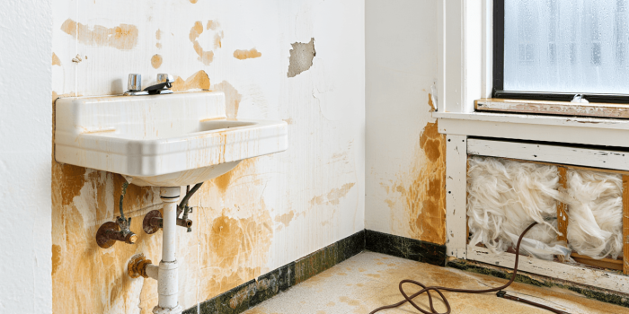Humidité : ces détails pendant une visite peuvent vous éviter de gros travaux