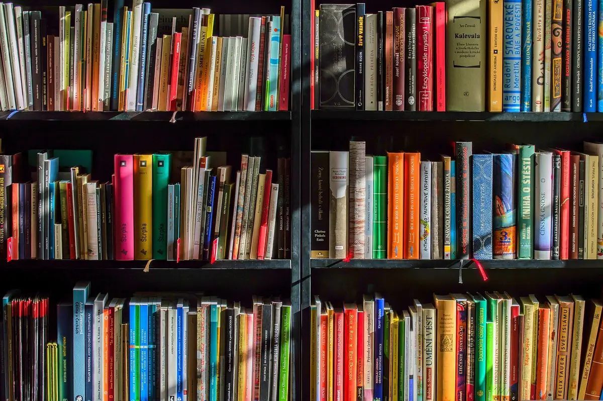Écran montrant une bibliothèque numérique organisée avec dossiers et métadonnées