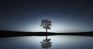 Entrée lumineuse et dégagée avec miroir, plante et éclairage chaleureux