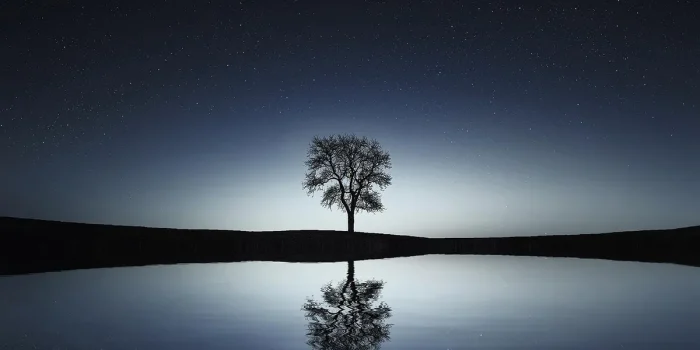 Entrée lumineuse et dégagée avec miroir, plante et éclairage chaleureux